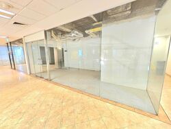 Serene Centre (D10), Shop House #490457271